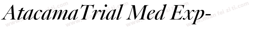 AtacamaTrial Med Exp字体转换